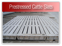 prestressed_cattle_slats copy